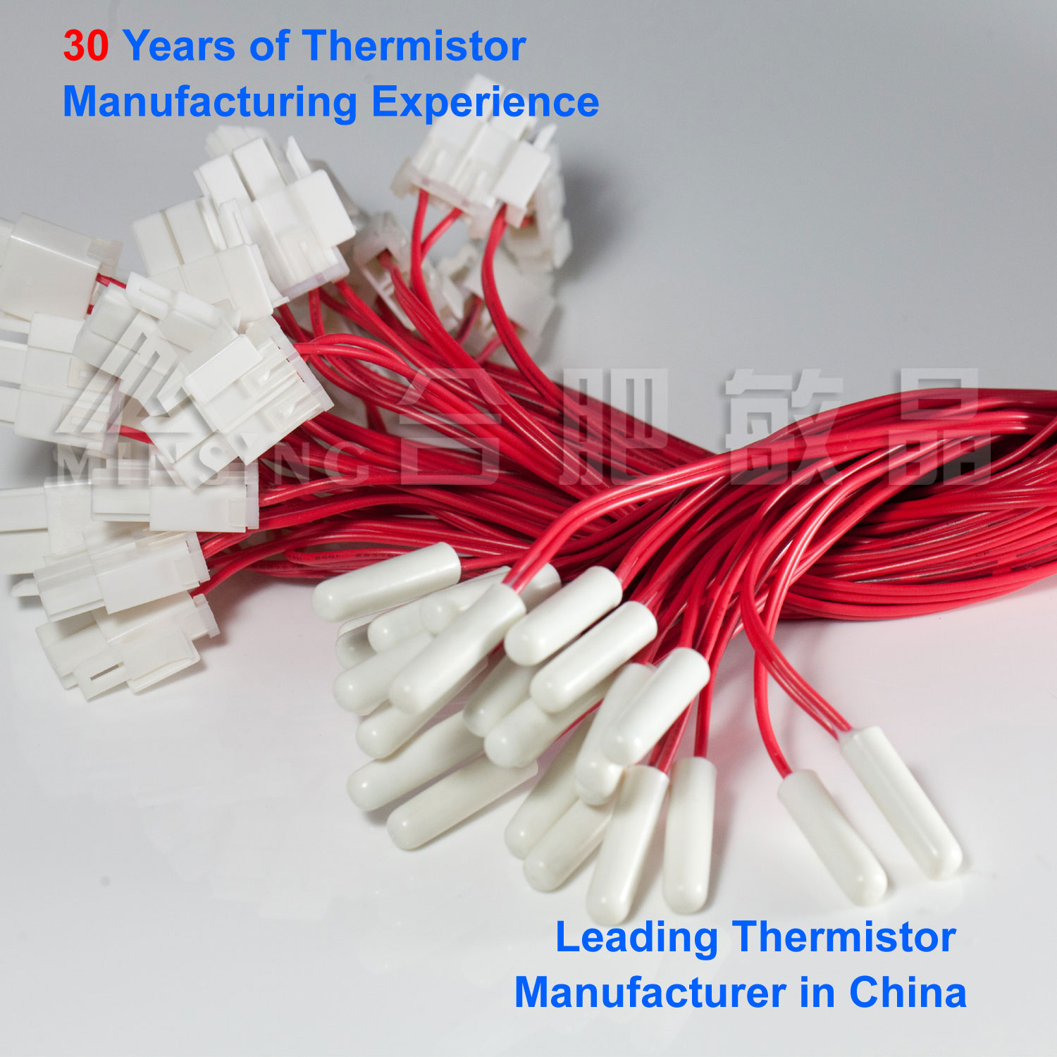 Customizable Plastic Encased NTC Temperature Probe