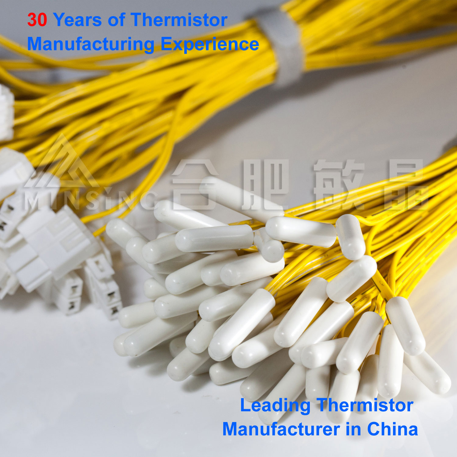 Lightweight Plastic Body NTC Thermistor Temperature Sensor for Power Inverters