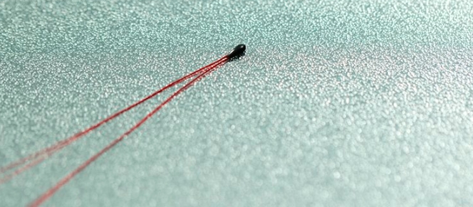 NTC thermistors
